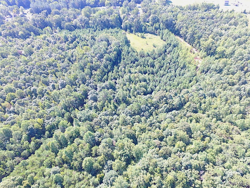 8.6-ac Oral Oaks Road Victoria, VA 23974 - Photo 7 of 36 Gallery Image 7