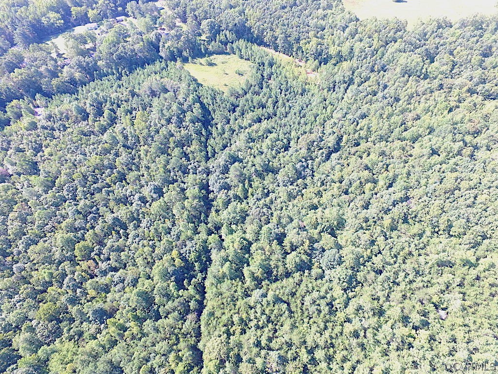 8.6-ac Oral Oaks Road Victoria, VA 23974 - Photo 8 of 36 Gallery Image 8