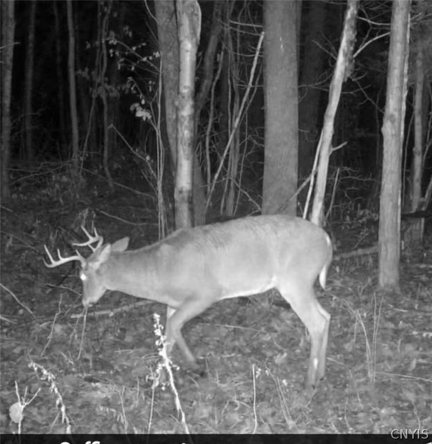 1463 County Rte 48 Lacona, NY 13083 - Photo 15 of 20