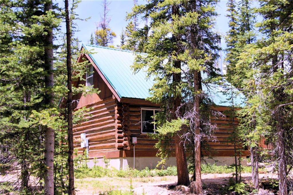 101 Rachaels Place Fairplay, CO 80440 - Photo 8 of 25 a front view of a house with a tree