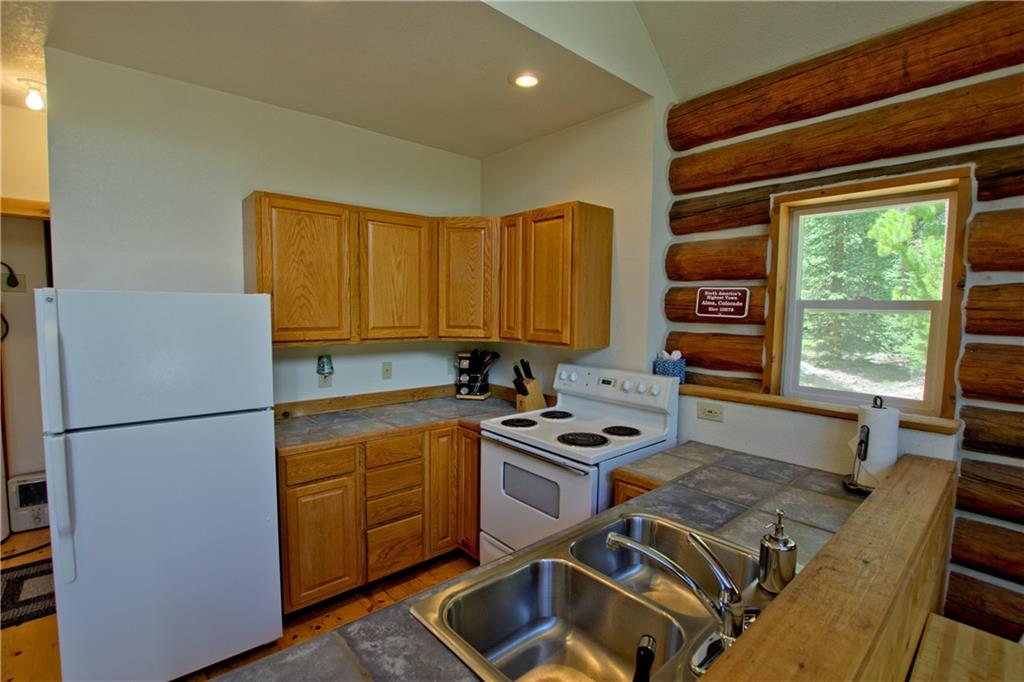 101 Rachaels Place Fairplay, CO 80440 - Photo 10 of 25 a kitchen with a refrigerator a stove a sink dishwasher and a refrigerator