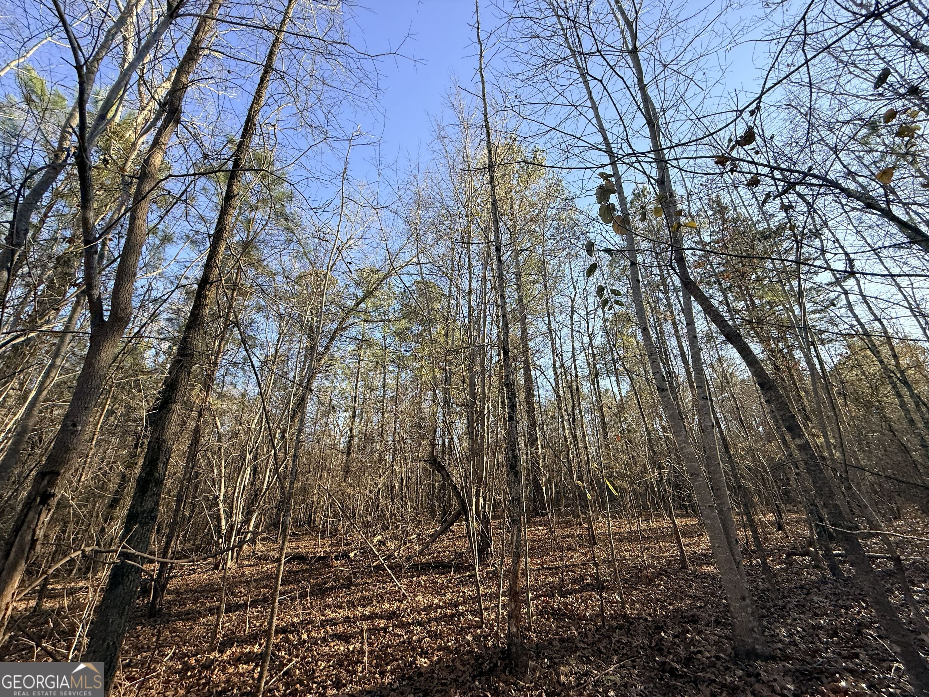 4 Bunch Road Tignall, GA 30668 - Photo 12 of 29 a view of backyard of house