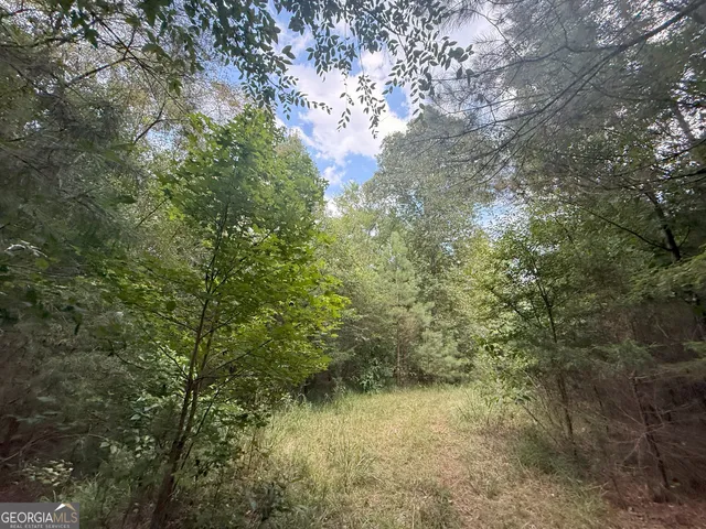 a view of a yard with a tree