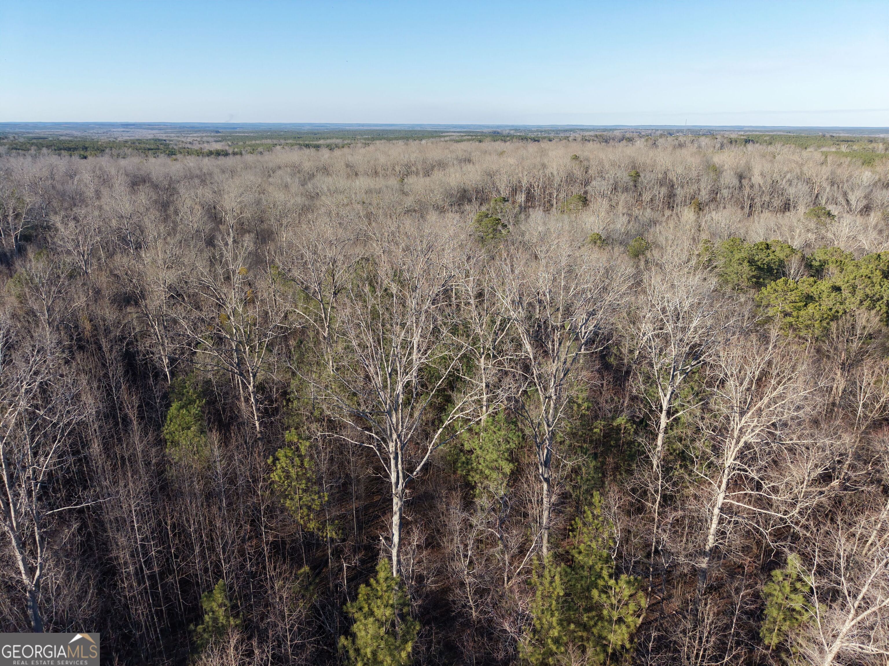 4 Bunch Road Tignall, GA 30668 - Photo 14 of 29 a view of an ocean