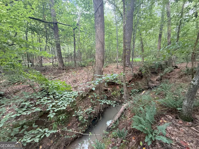a view of outdoor space and green space