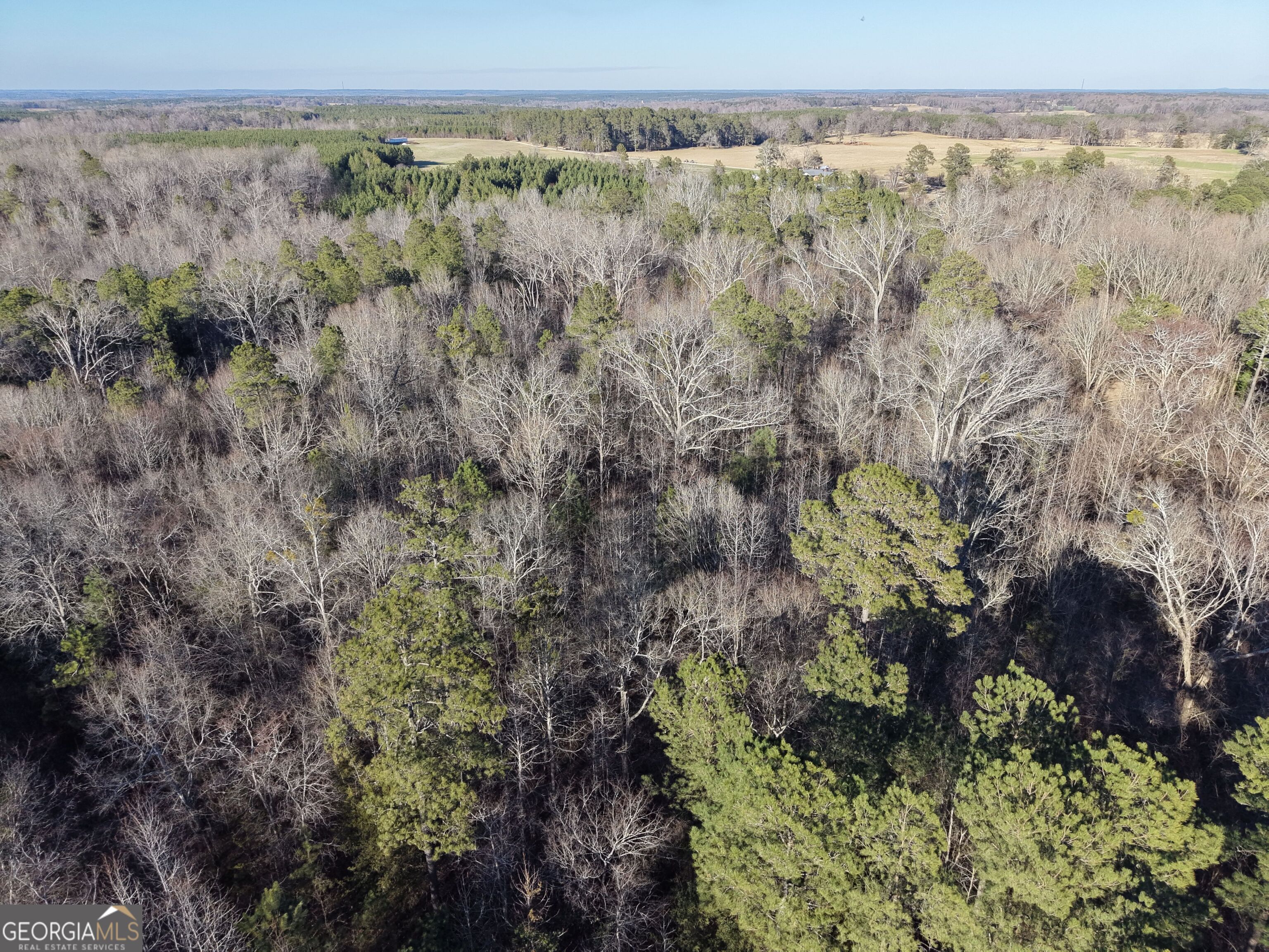4 Bunch Road Tignall, GA 30668 - Photo 15 of 29 a view of a with large trees