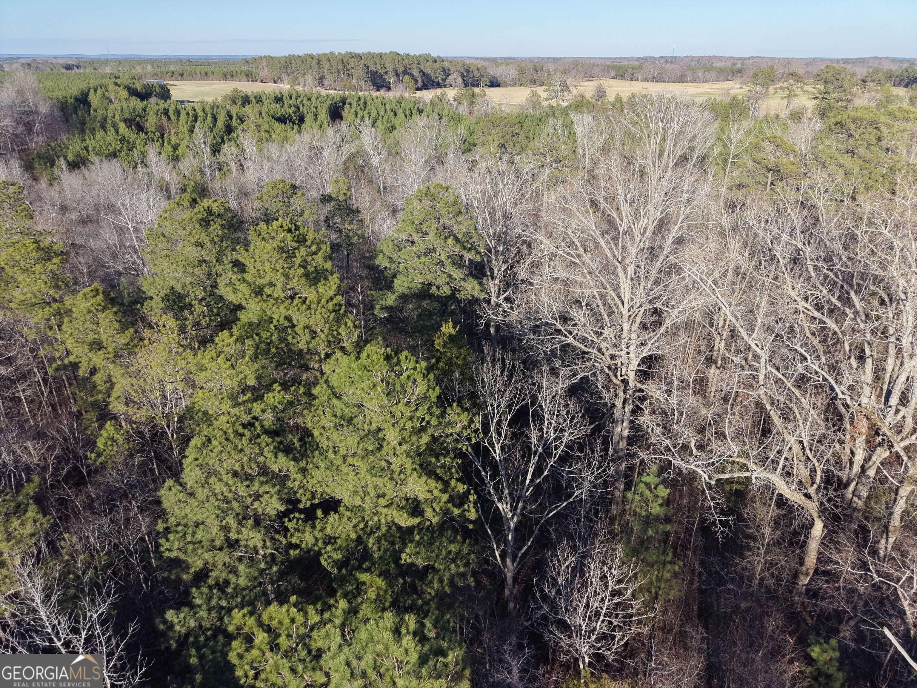 4 Bunch Road Tignall, GA 30668 - Photo 16 of 29 a view of a lush green forest with lots of trees