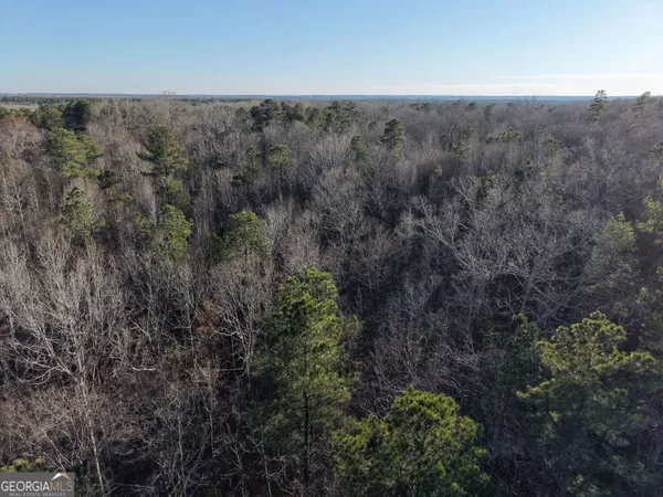 a view of a lots of trees