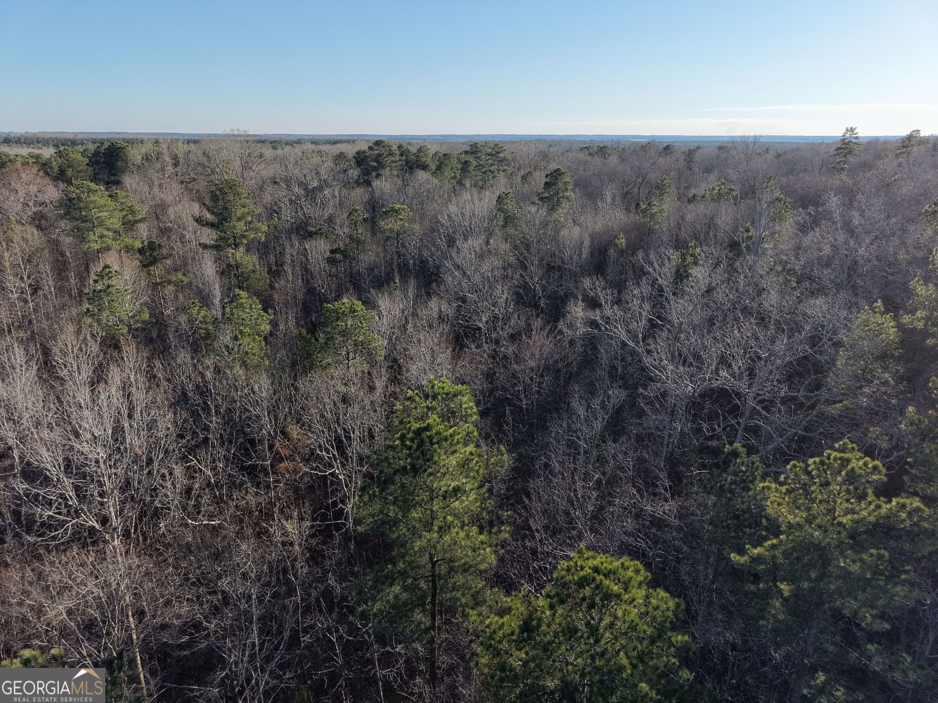 4 Bunch Road Tignall, GA 30668 - Photo 18 of 29 a view of a forest with trees in the background