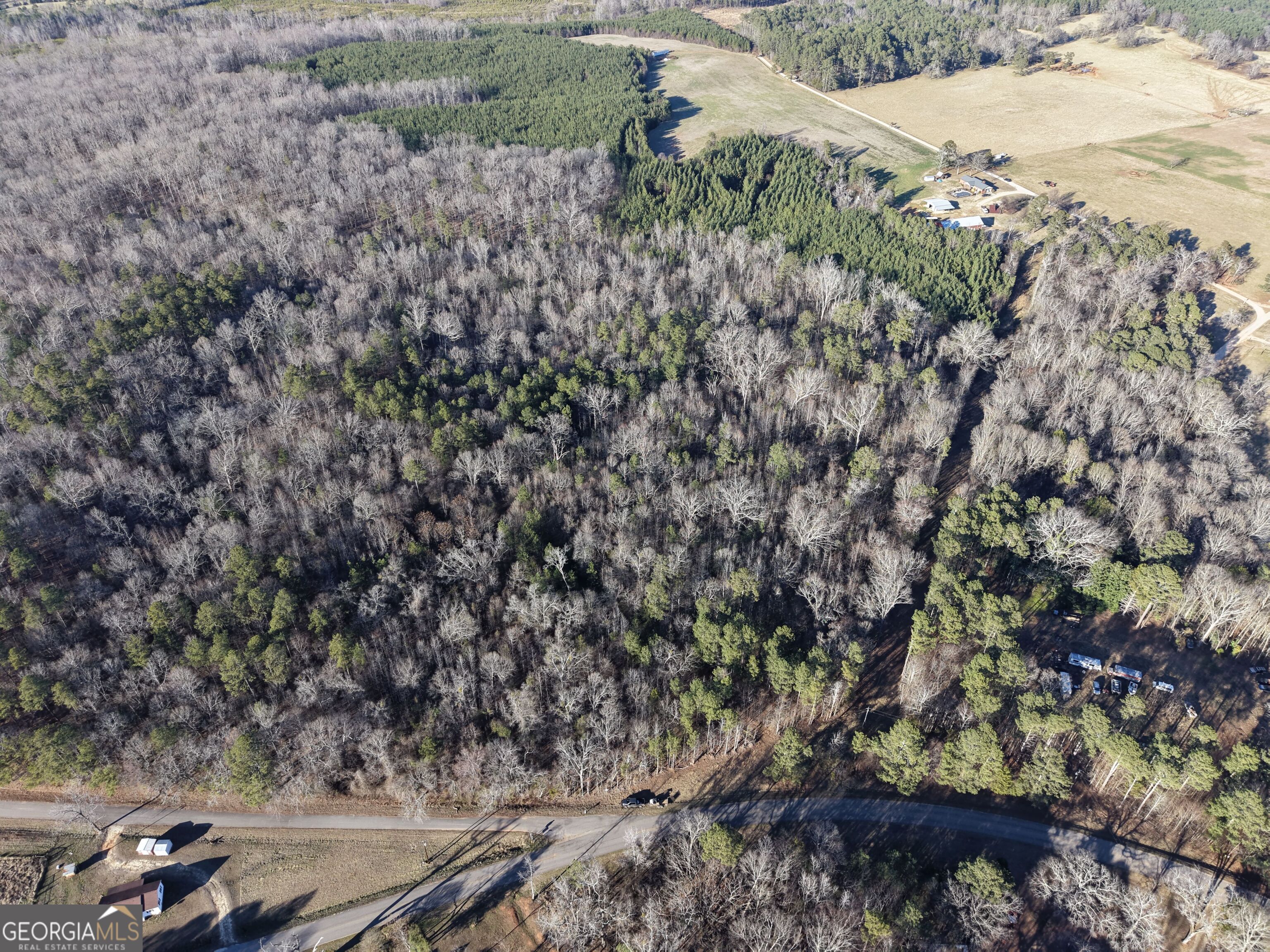 4 Bunch Road Tignall, GA 30668 - Photo 19 of 29 a view of a forest with a tree