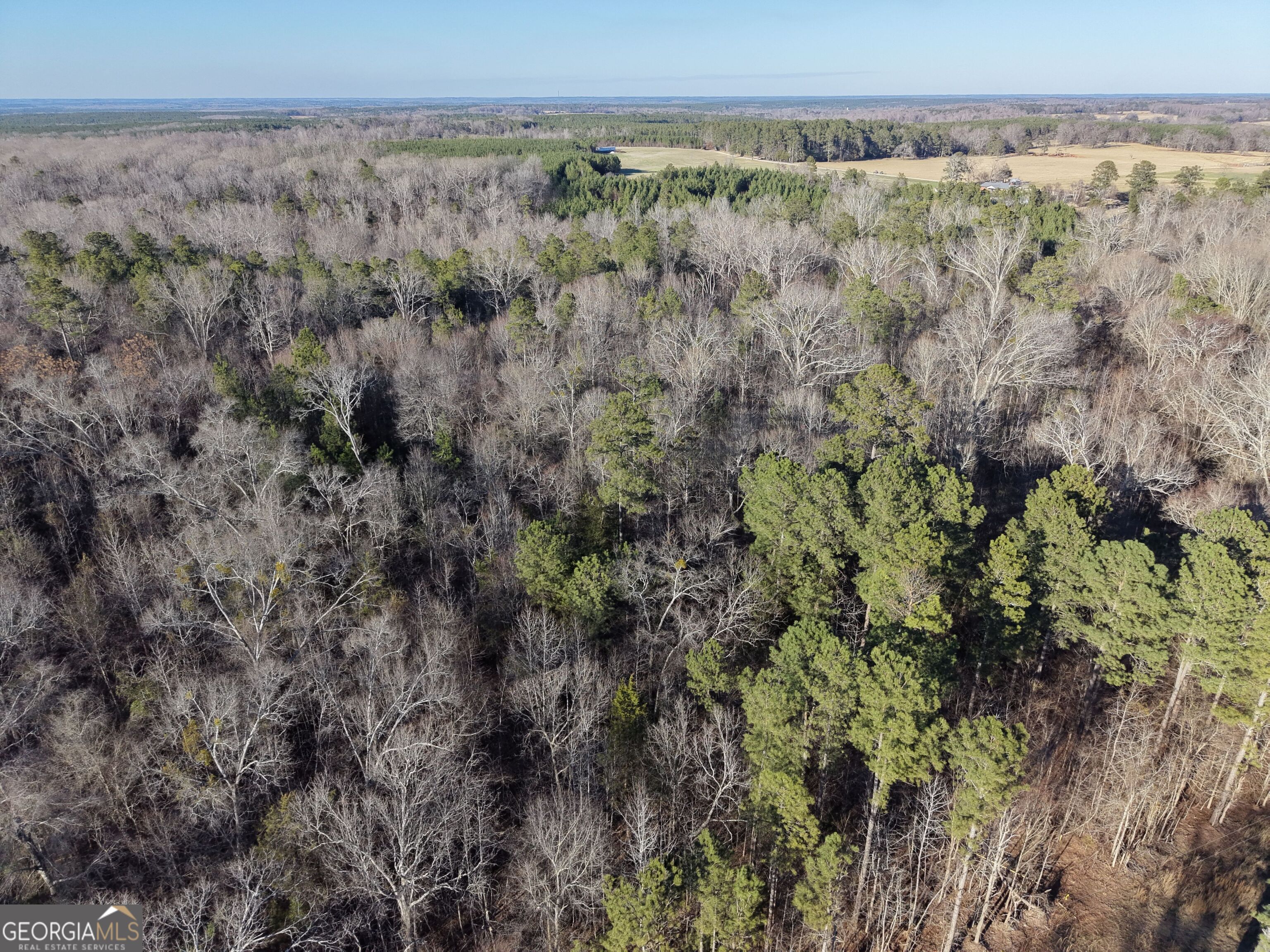 4 Bunch Road Tignall, GA 30668 - Photo 20 of 29 a view of a lots of trees
