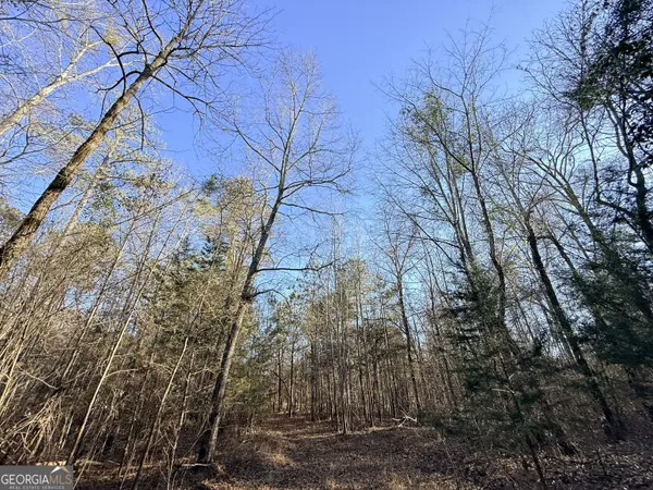 a view of outdoor space
