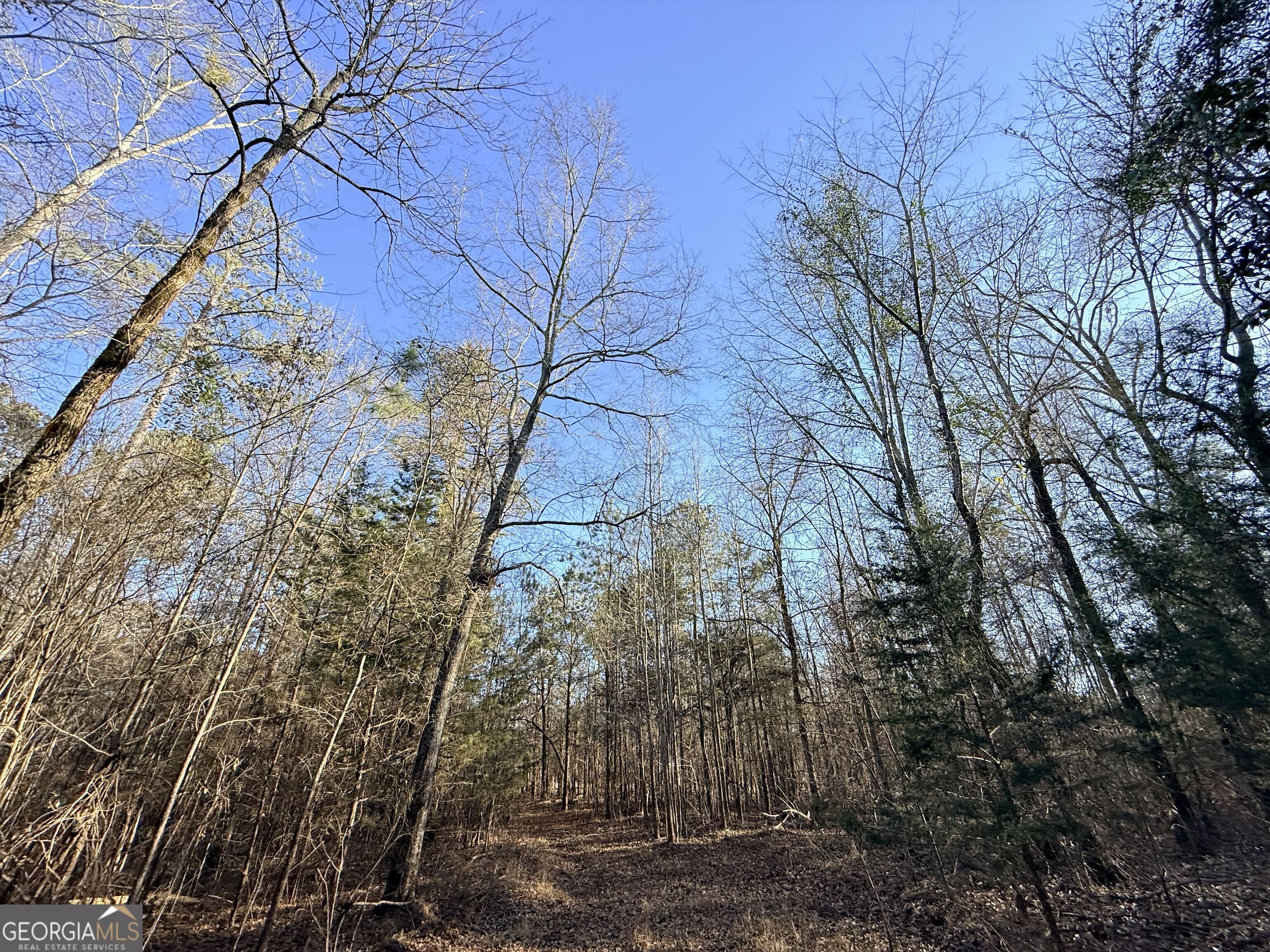 4 Bunch Road Tignall, GA 30668 - Photo 21 of 29