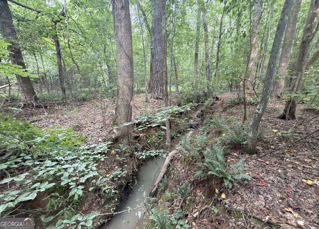 4 Bunch Road Tignall, GA 30668 - Photo 23 of 29 a view of a forest with trees