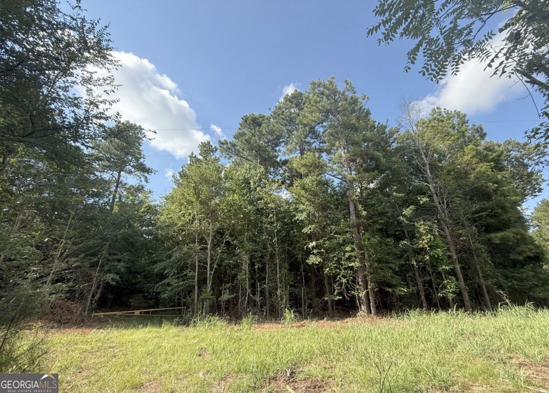 4 Bunch Road Tignall, GA 30668 - Photo 24 of 29 a view of outdoor space