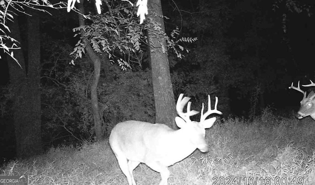 4 Bunch Road Tignall, GA 30668 - Photo 25 of 29 a view of a bathroom with a sink and mirror
