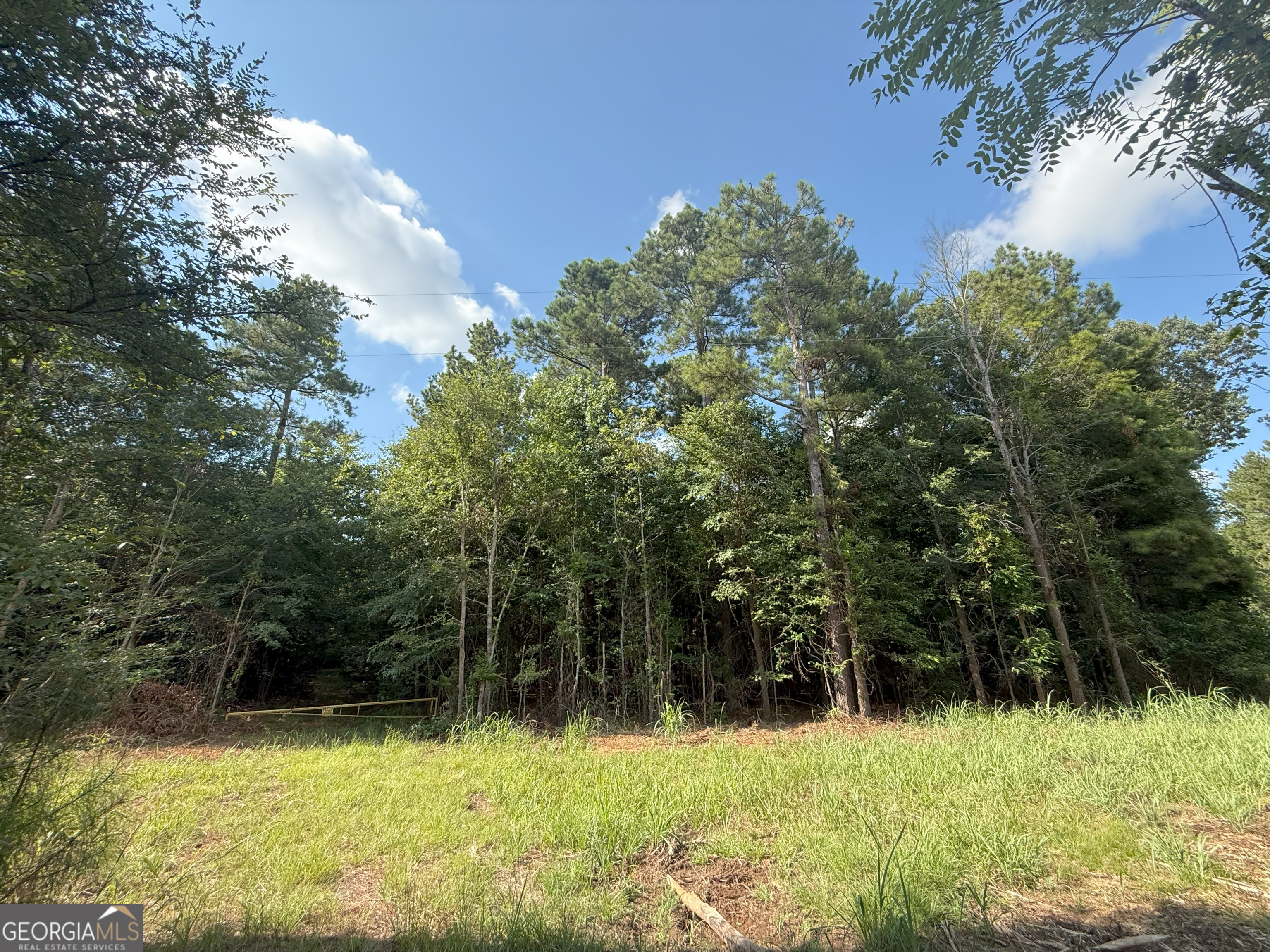 4 Bunch Road Tignall, GA 30668 - Photo 26 of 34 a view of backyard with green space