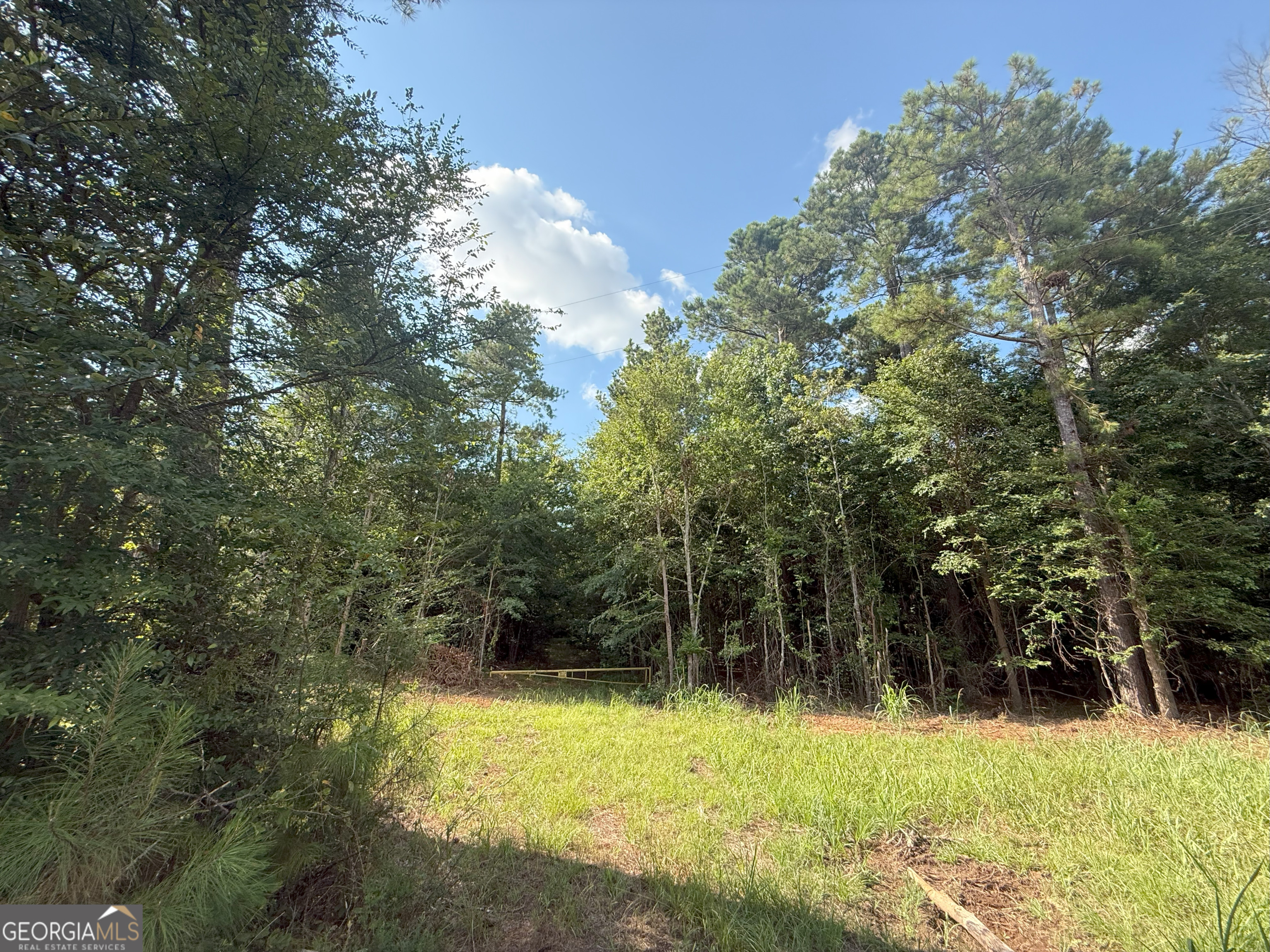 4 Bunch Road Tignall, GA 30668 - Photo 27 of 34 a view of backyard with green space