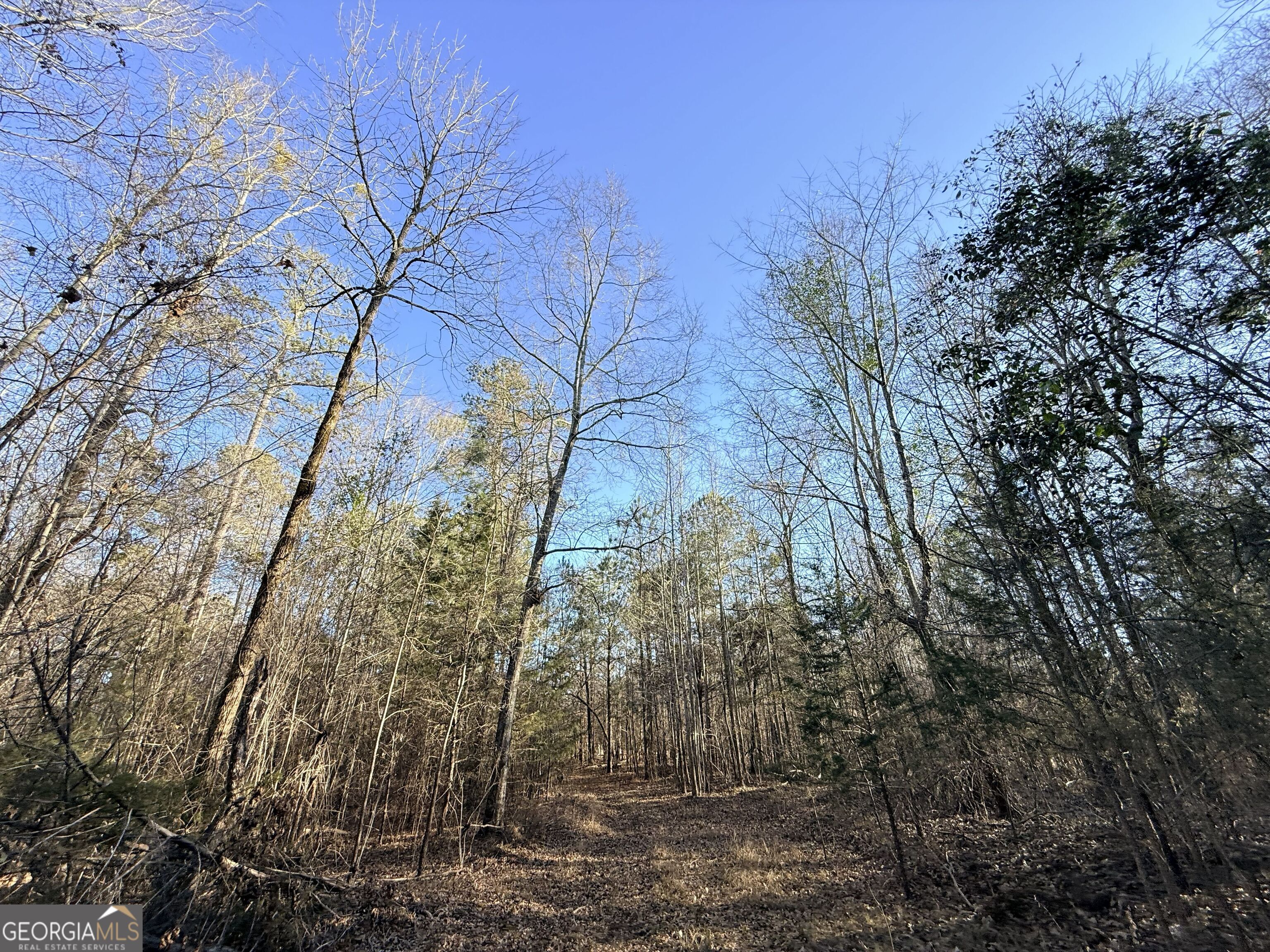 4 Bunch Road Tignall, GA 30668 - Photo 3 of 29