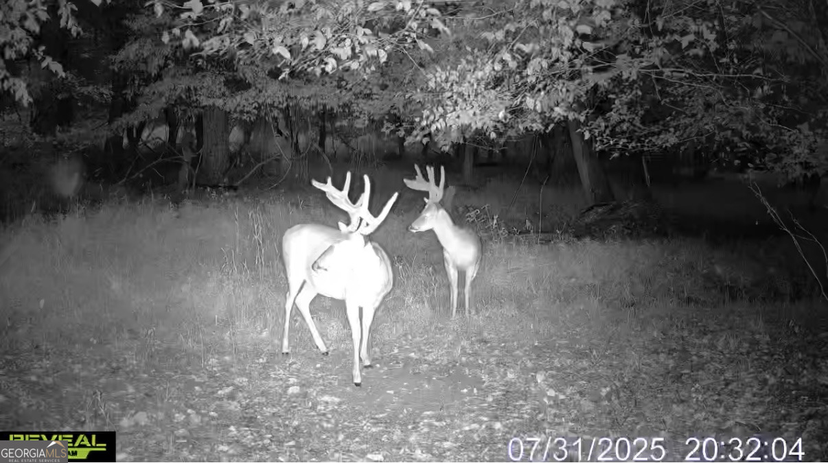 4 Bunch Road Tignall, GA 30668 - Photo 32 of 34 a view of outdoor space and yard