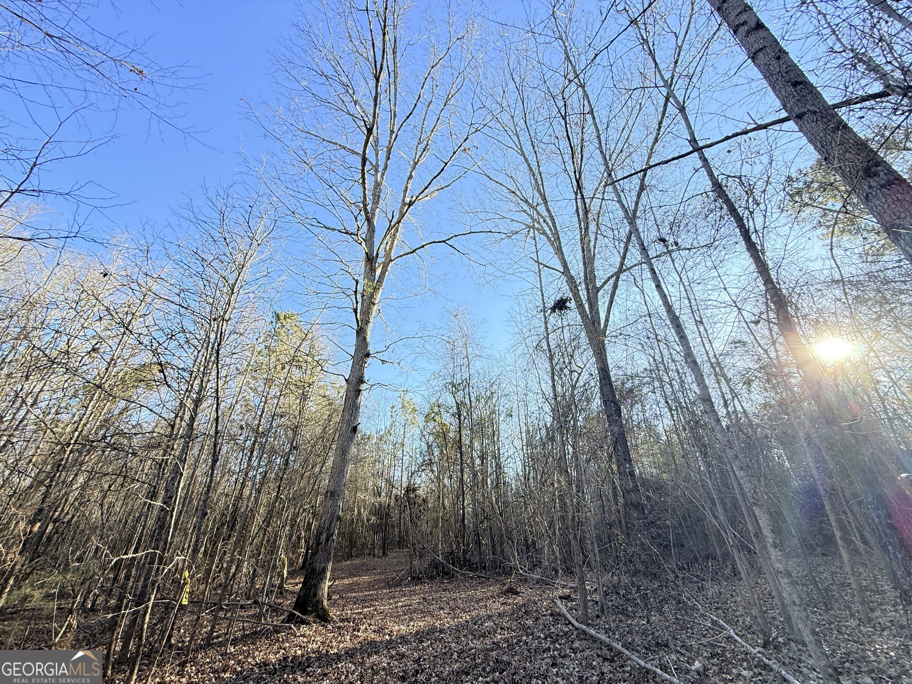 4 Bunch Road Tignall, GA 30668 - Photo 4 of 29 a backyard of a house