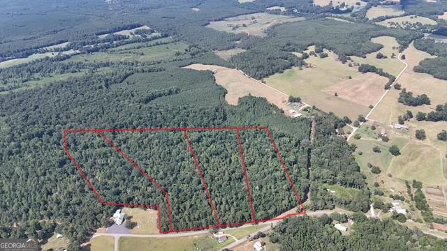 4 Bunch Road Tignall, GA 30668 - Photo 5 of 34 a view of a yard with plants