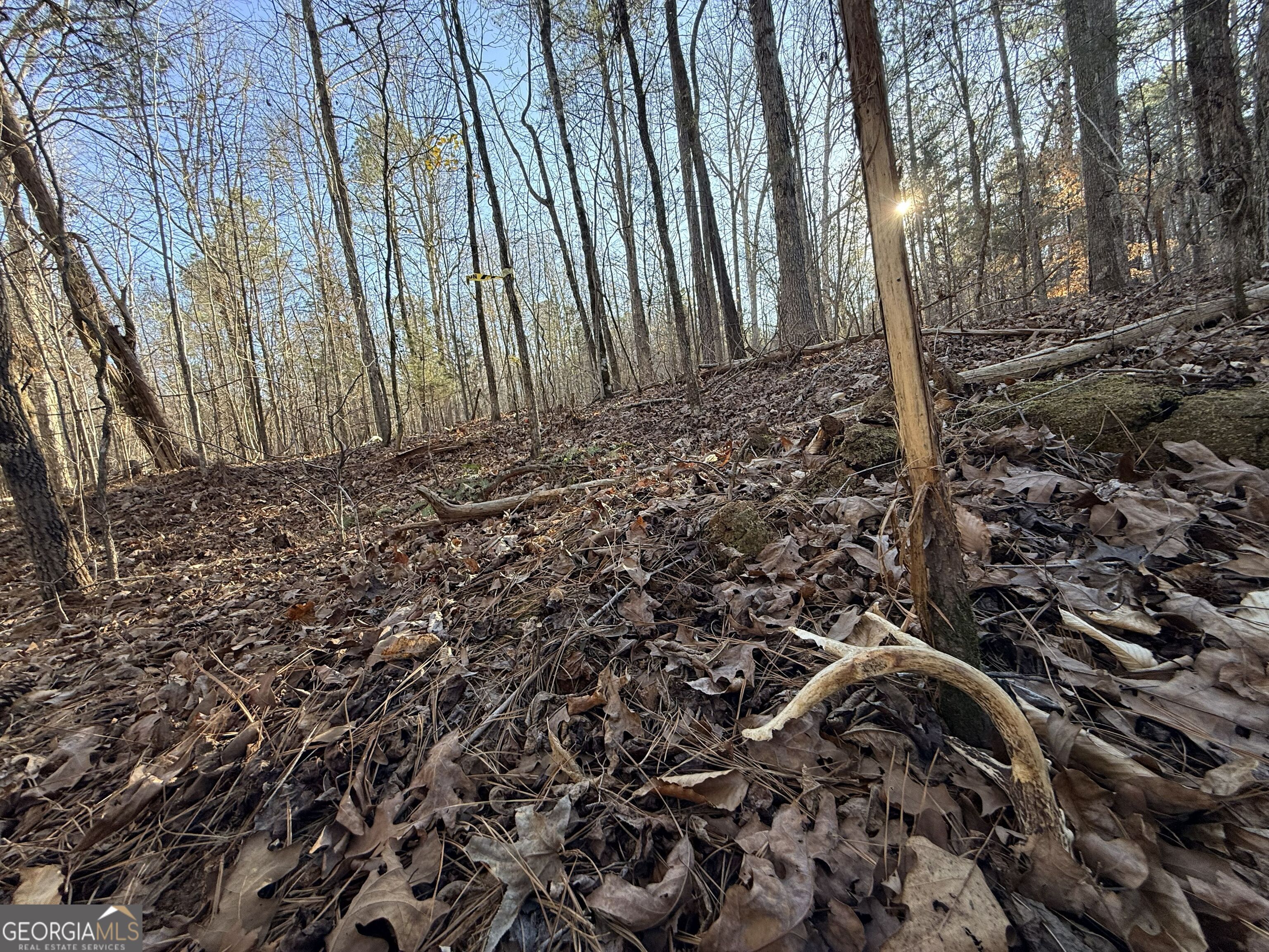 4 Bunch Road Tignall, GA 30668 - Photo 6 of 29 a view of a backyard of the house