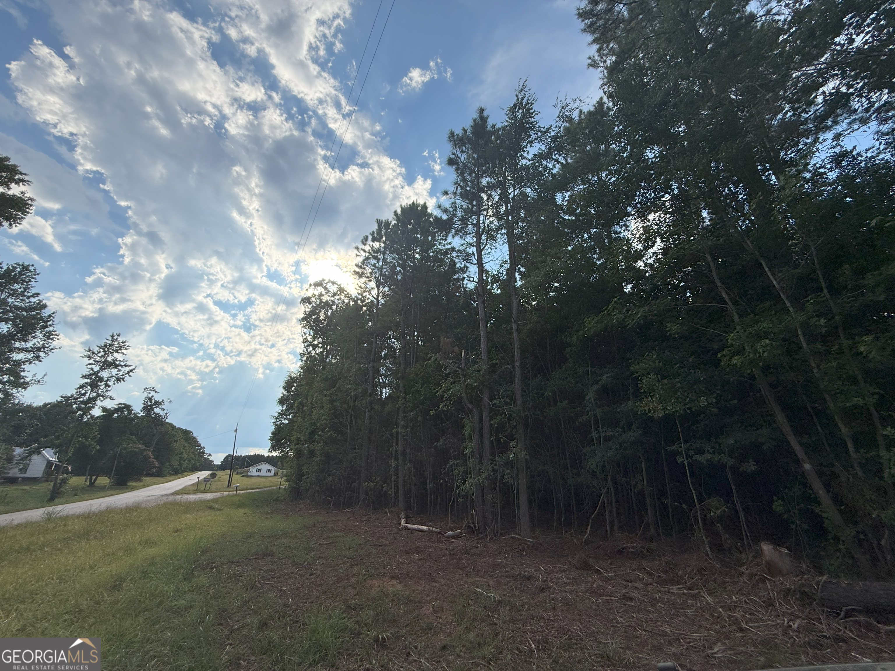 4 Bunch Road Tignall, GA 30668 - Photo 6 of 34 a view of outdoor space and yard