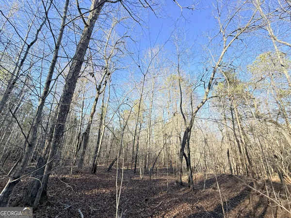 a backyard of a building