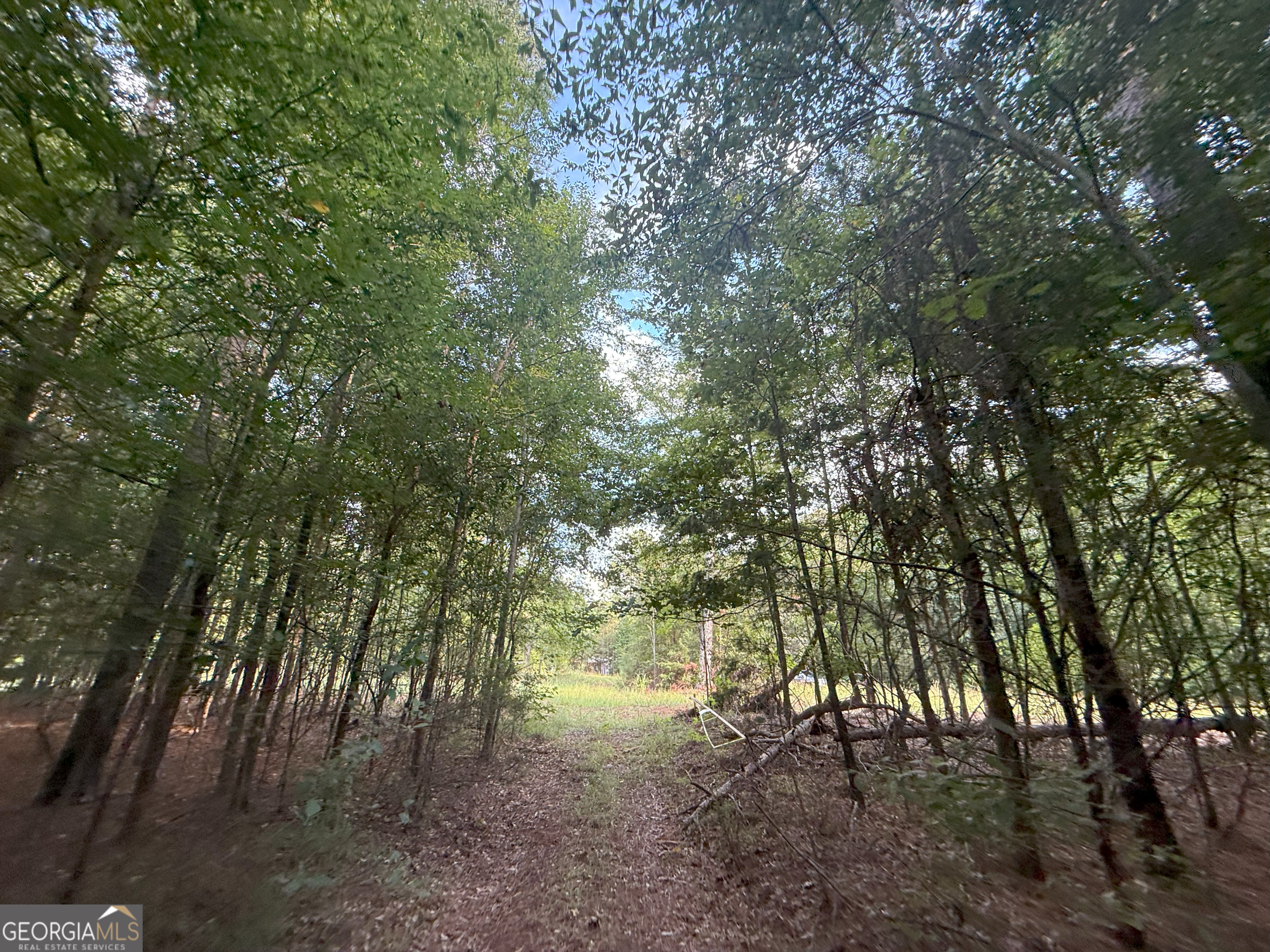 4 Bunch Road Tignall, GA 30668 - Photo 8 of 34 a backyard of a house with lots of green space