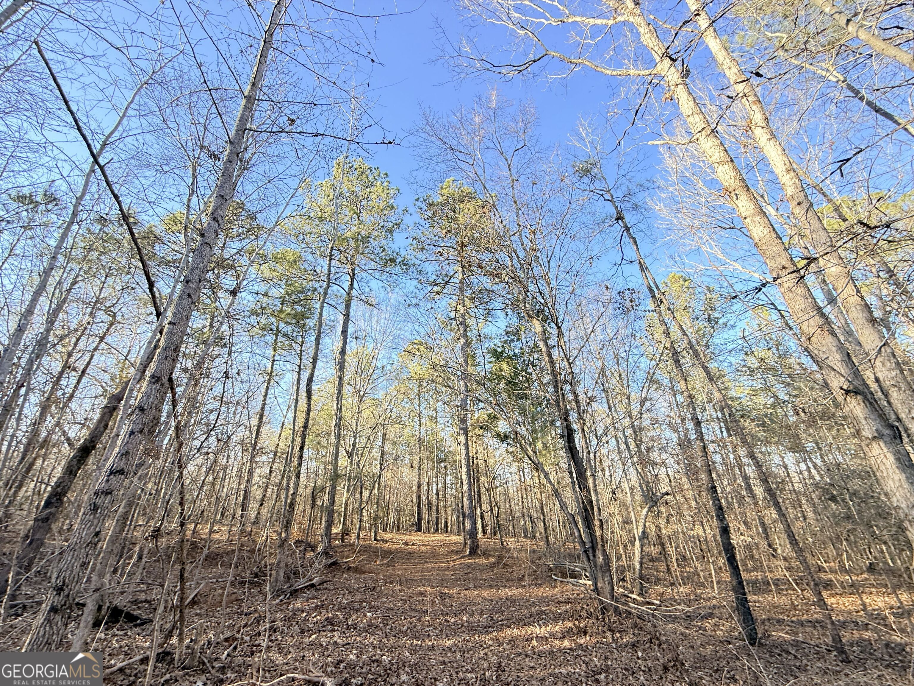 4 Bunch Road Tignall, GA 30668 - Photo 8 of 29 a backyard of a building