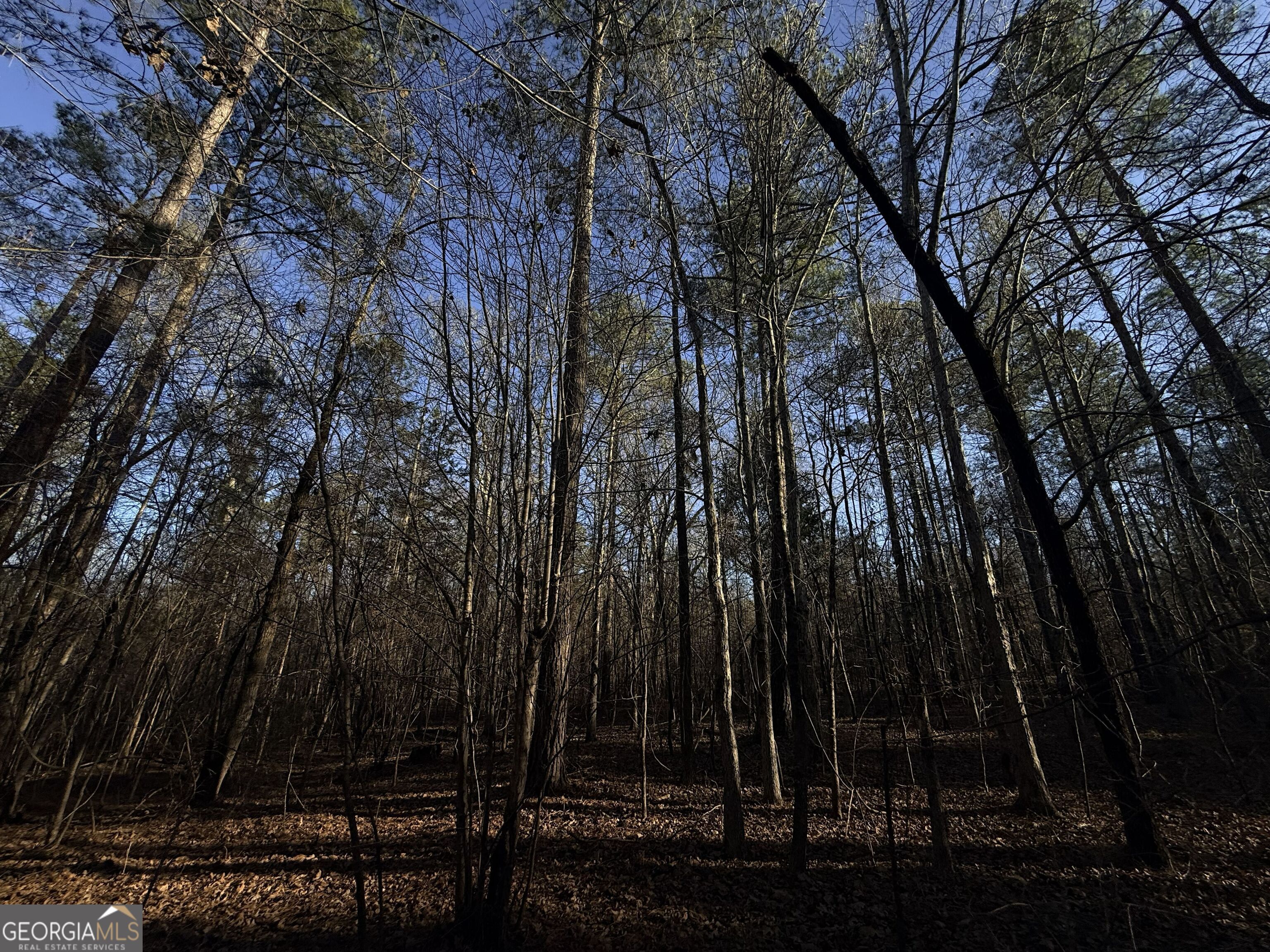 4 Bunch Road Tignall, GA 30668 - Photo 9 of 29