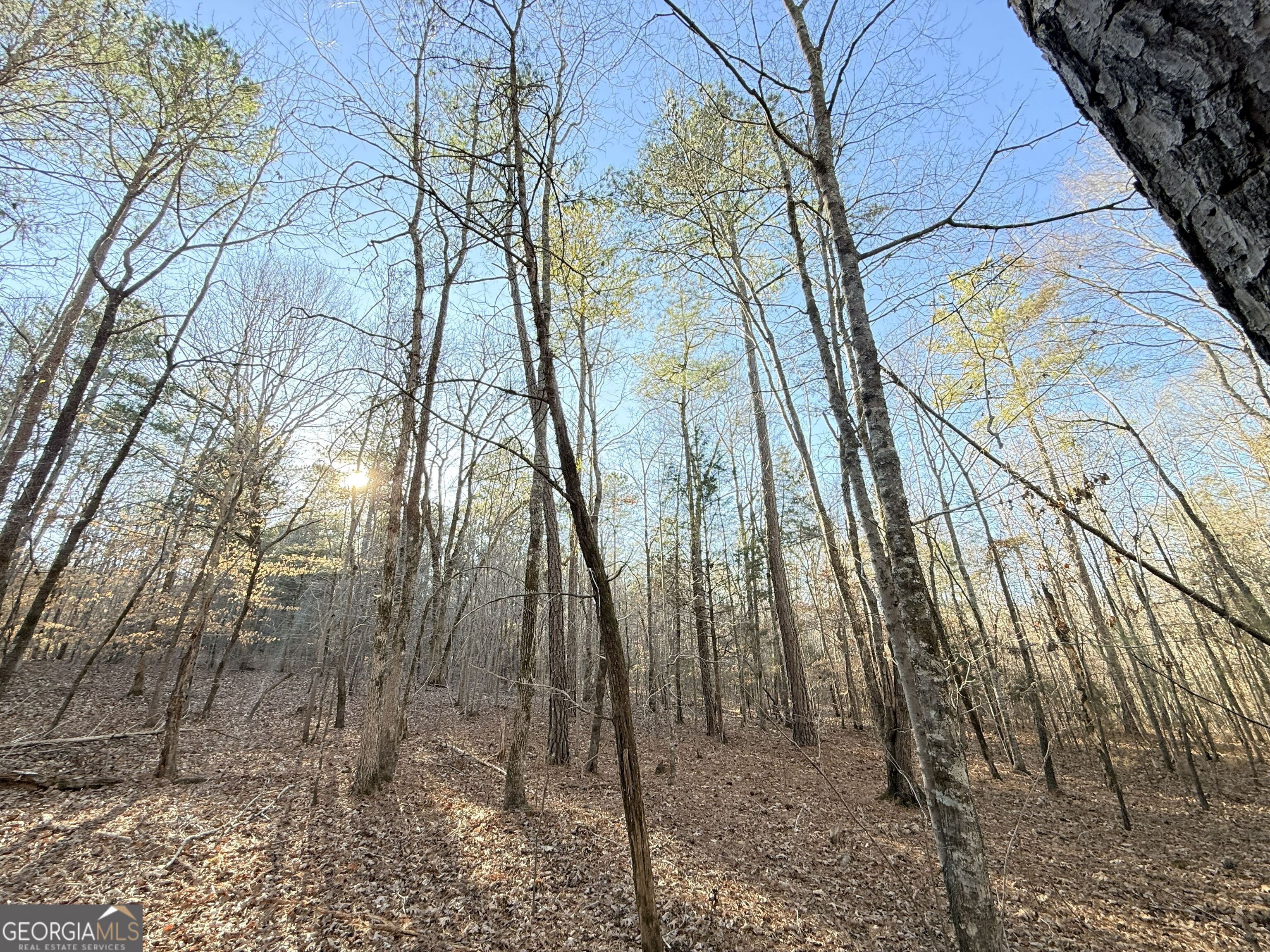 4 Bunch Road Tignall, GA 30668 - Photo 10 of 29 a backyard of a house