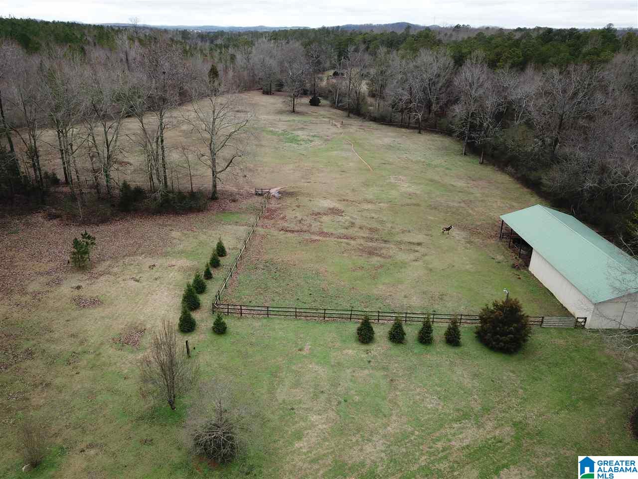 834 Maple Lane Jacksonville, AL 36265 - Photo 40 of 43