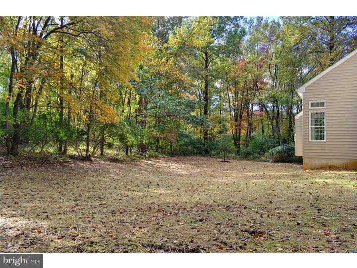 1636 Manley Road West Chester, PA 19380 - Photo 22 of 25 Back Yard
