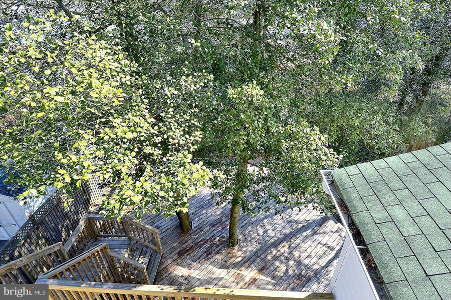 581 Manor Road Severna Park, MD 21146 - Photo 20 of 30 Treetop Views Under Sun and Stars