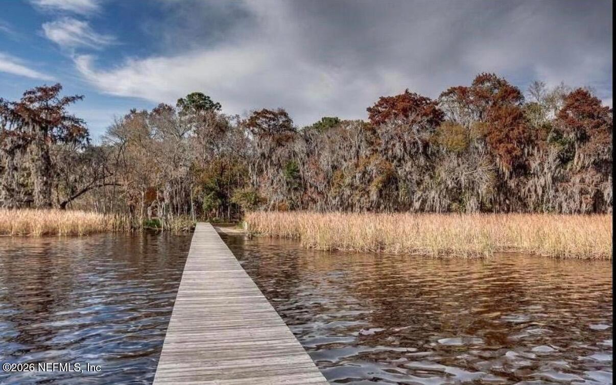 2431 Cypress Springs Road Orange Park, FL 32073 - Photo 80 of 83 IMG_1276