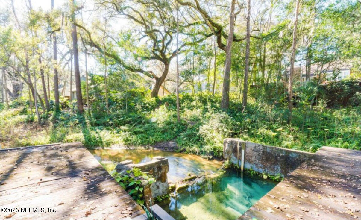 2431 Cypress Springs Road Orange Park, FL 32073 - Photo 83 of 83 a view of yard