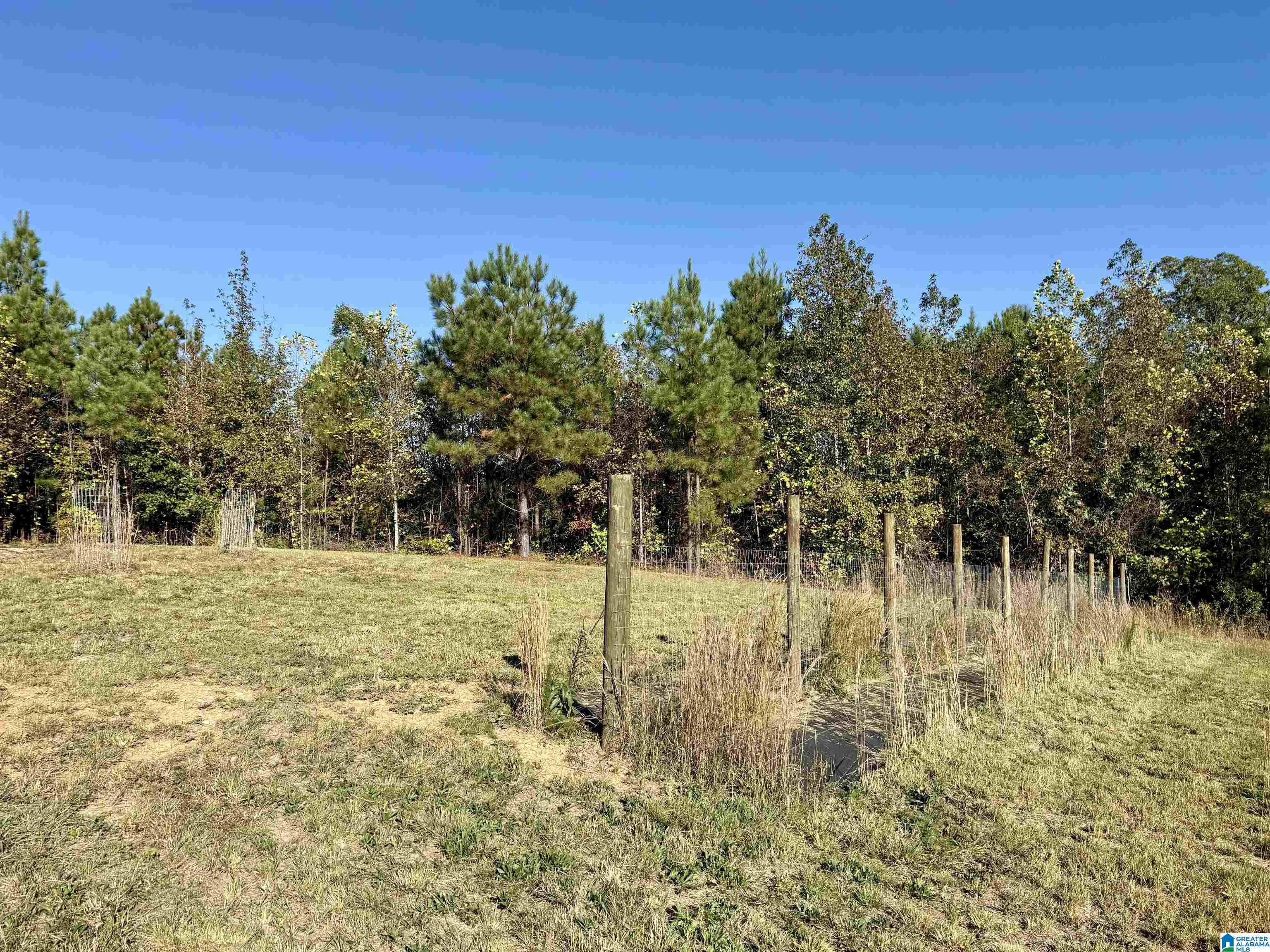 7070 Rendalia Motorway Talladega, AL 35160 - Photo 18 of 28
