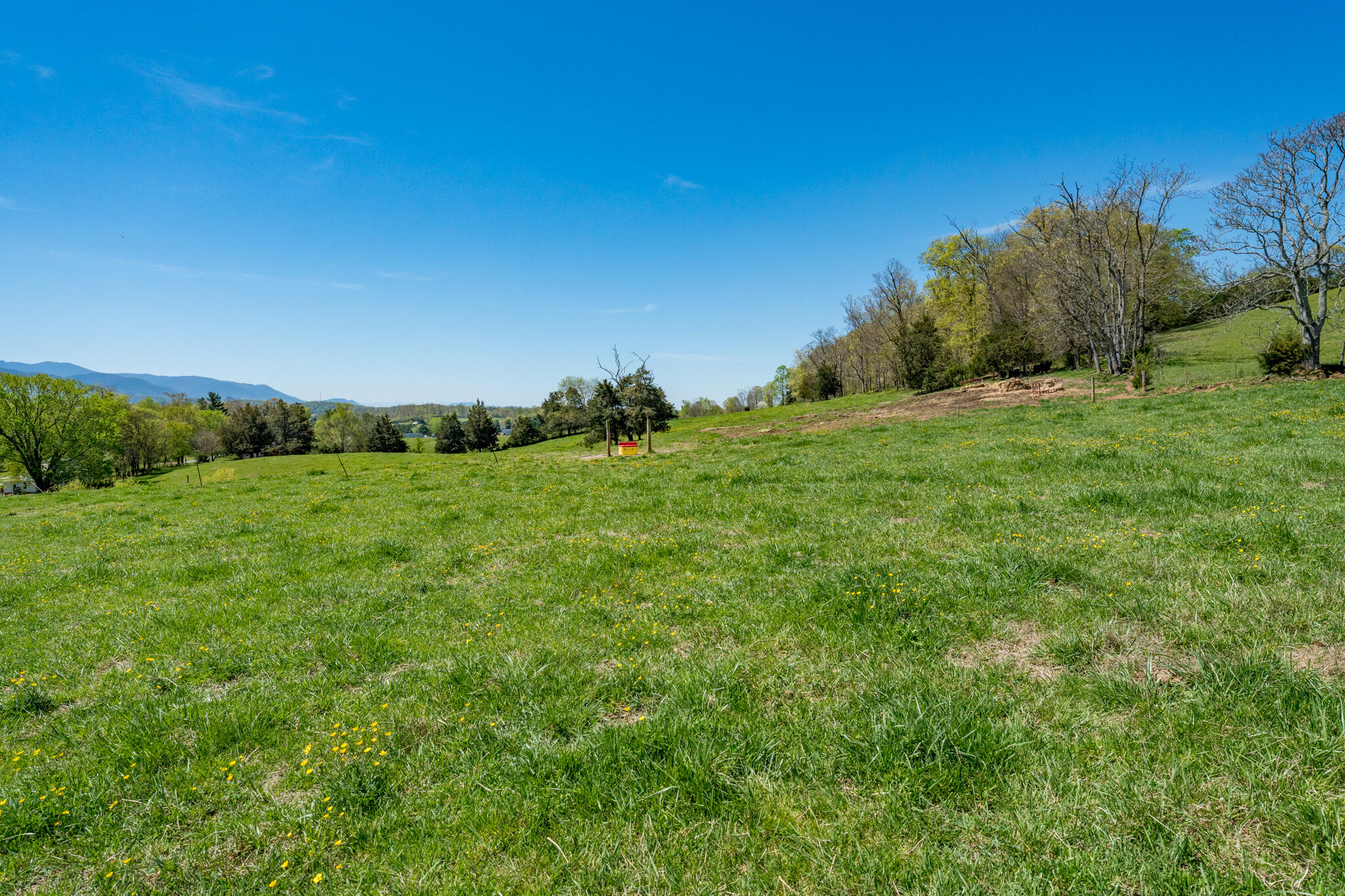 Tbd Snapp Bridge Road Limestone, TN 37681 - Photo 54 of 55 TBD Snapp Bridge Road Lot lines example