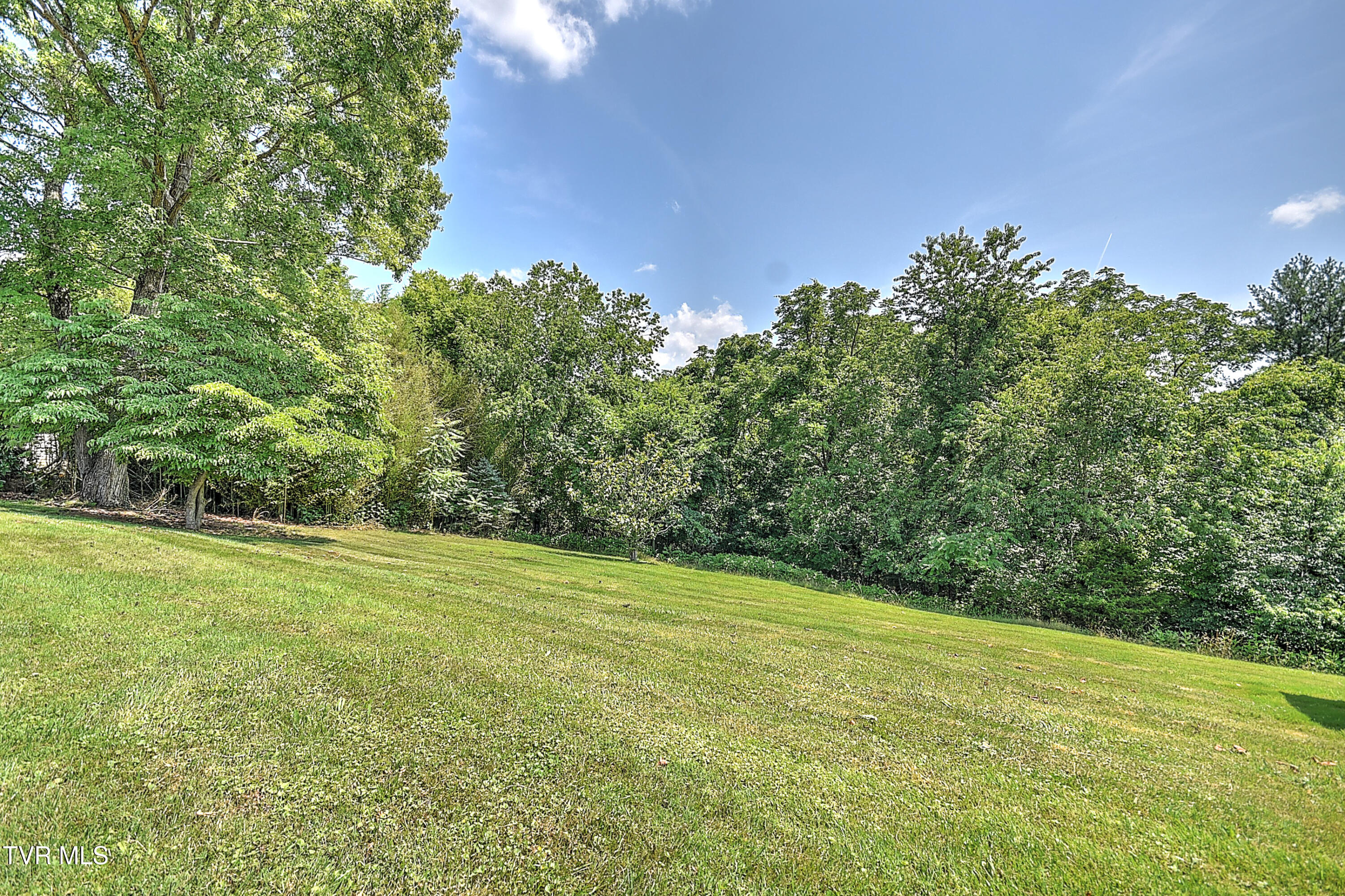 110 Richmond Heights Road Bristol, TN 37620 - Photo 37 of 45 110 Richmond Heights DOM-44
