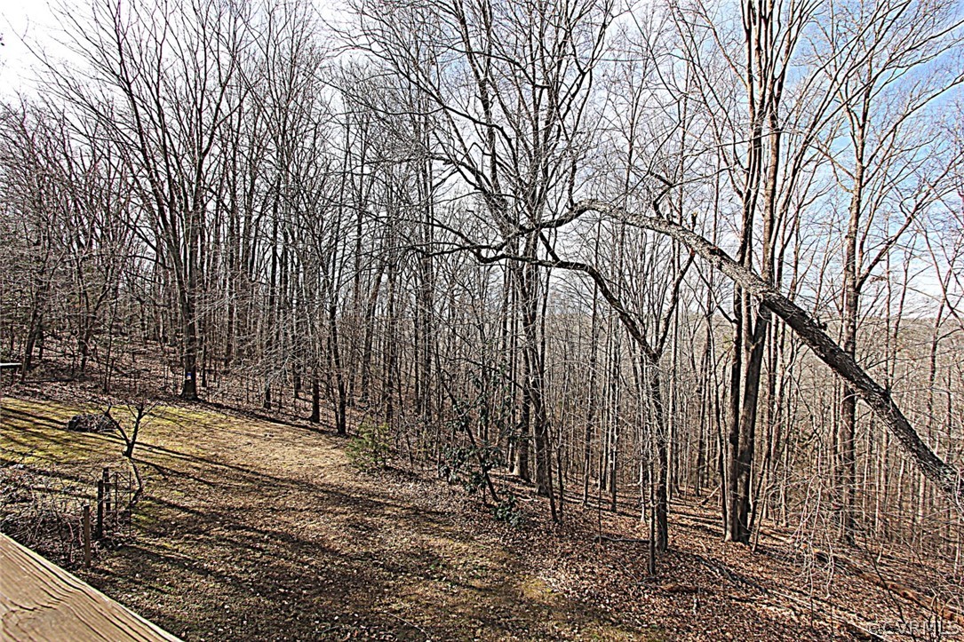 14365 Yankeetown Road Ashland, VA 23005 - Photo 36 of 43 Gallery Image 36
