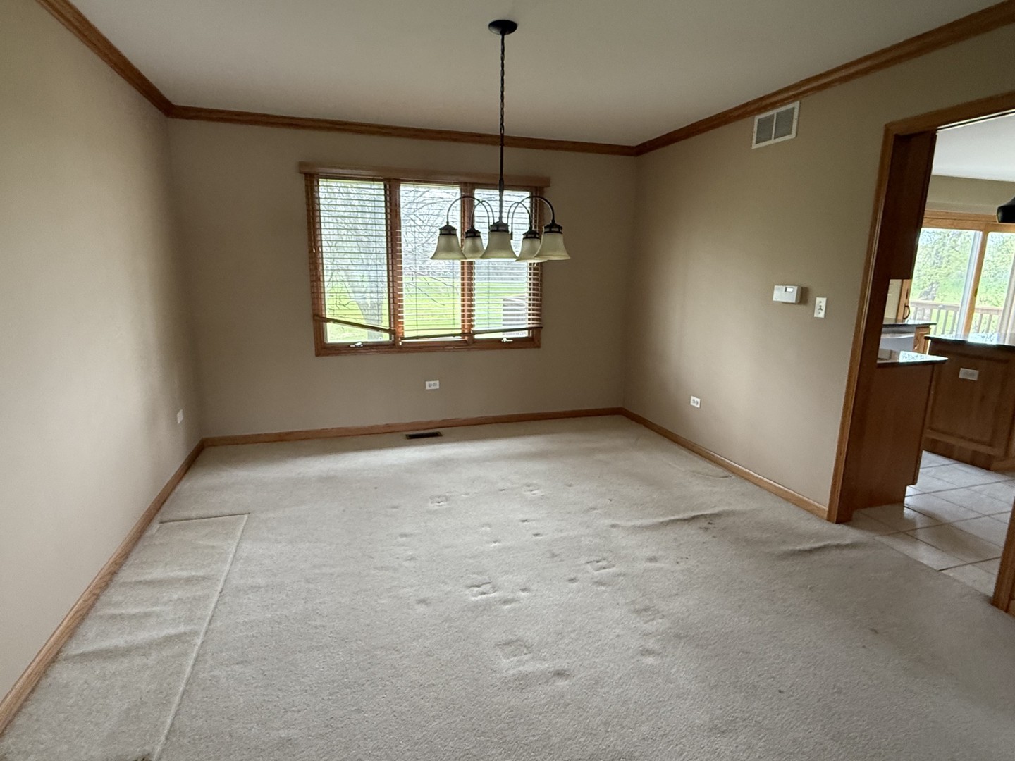 1079 Norwalk Road Lemont, IL 60439 - Photo 11 of 41 Gallery Image 11