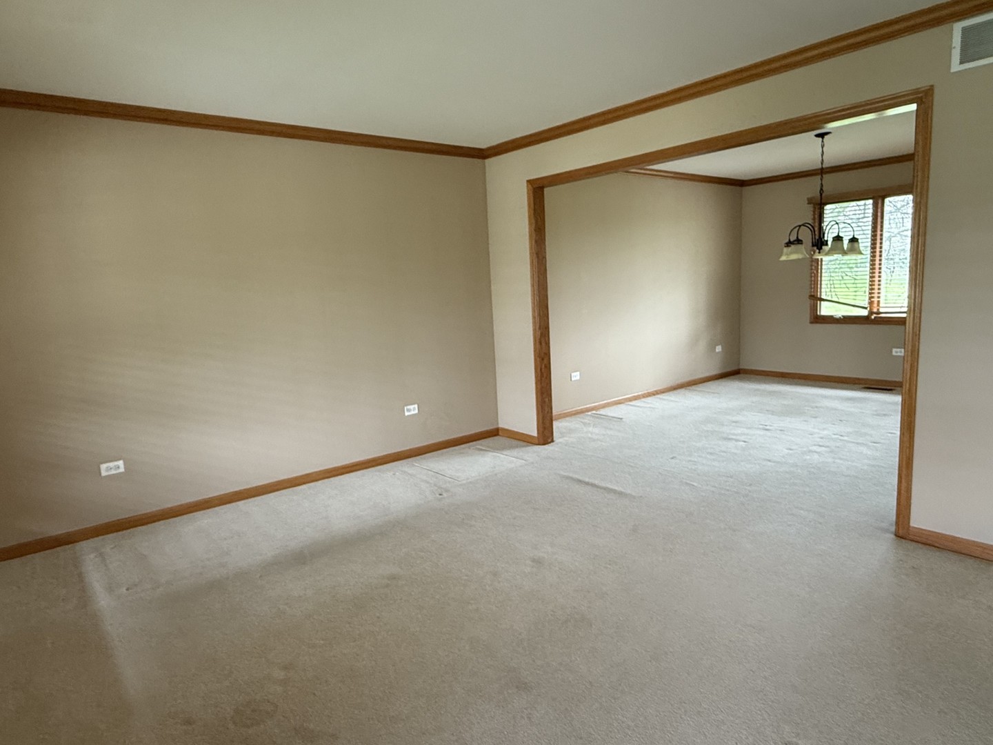 1079 Norwalk Road Lemont, IL 60439 - Photo 9 of 41 Gallery Image 9