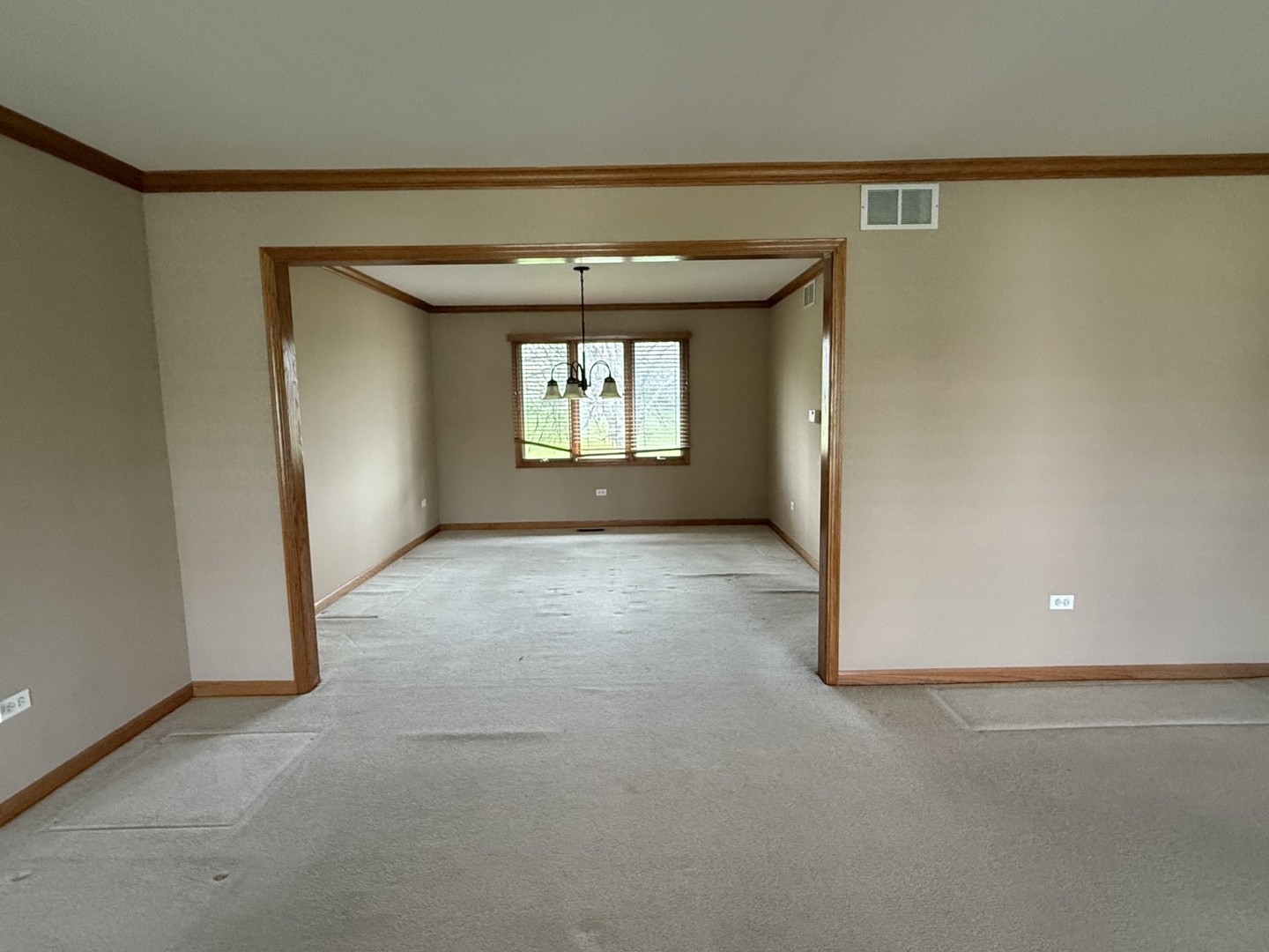 1079 Norwalk Road Lemont, IL 60439 - Photo 10 of 41 Gallery Image 10