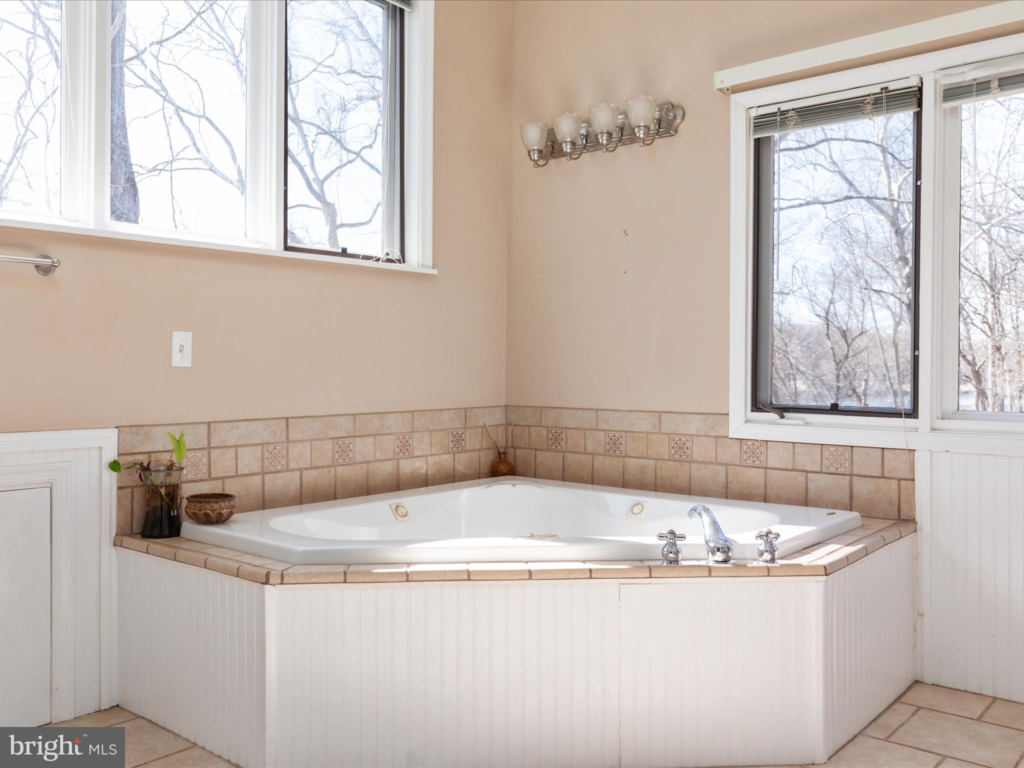 646 Old Dam Road Front Royal, VA 22630 - Photo 15 of 88 a bath tub sitting next to a window