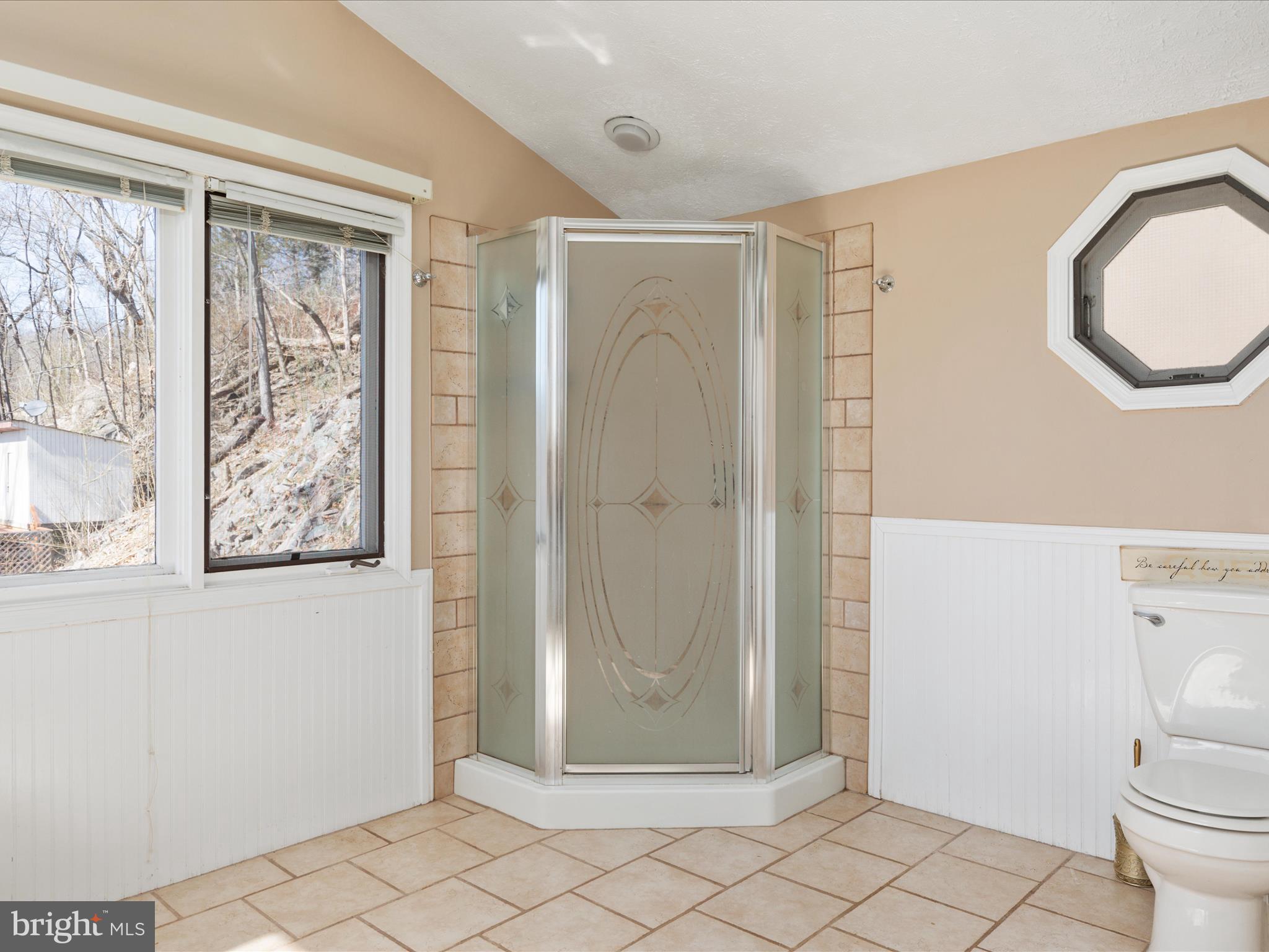646 Old Dam Road Front Royal, VA 22630 - Photo 18 of 88 a bathroom with a granite countertop shower a toilet and a sink
