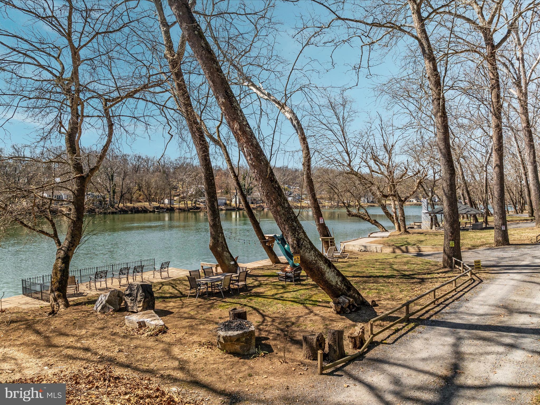 646 Old Dam Road Front Royal, VA 22630 - Photo 58 of 88 a view of a yard with a tree