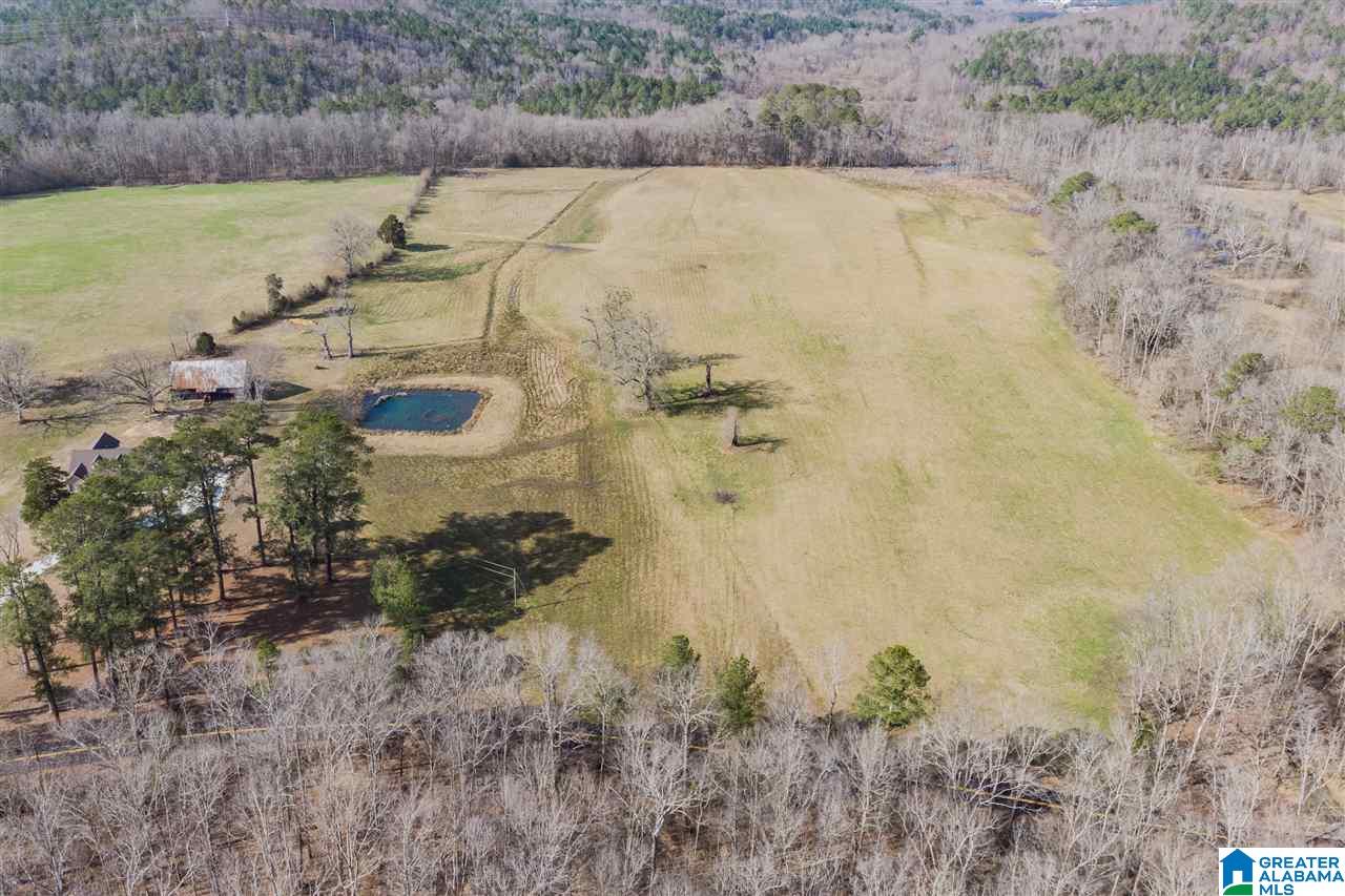 3484 Springville Boulevard Oneonta, AL 35121 - Photo 46 of 49