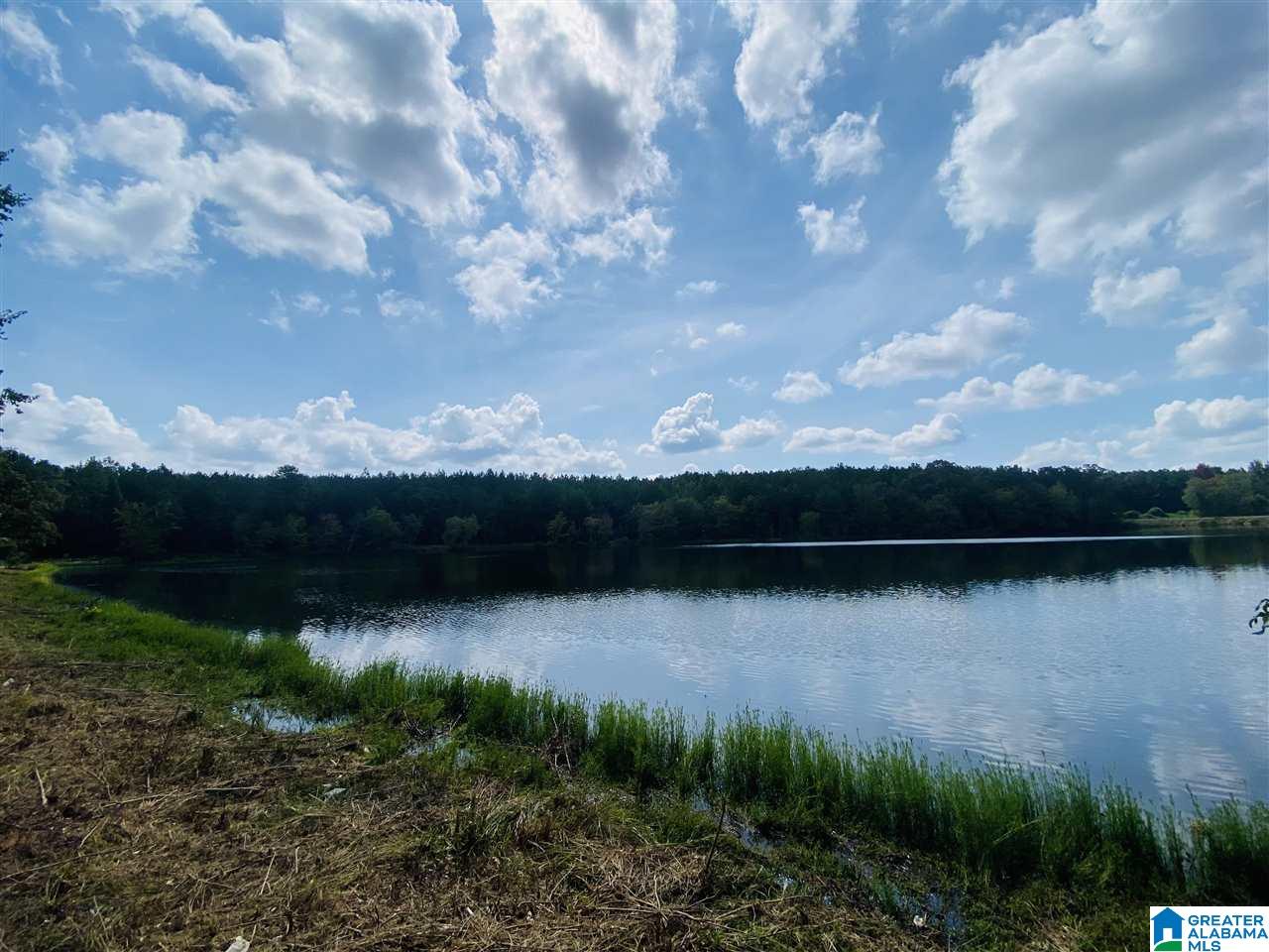 2560 Joe Lee Road, Unit 1 Talladega, AL 35160 - Photo 16 of 35